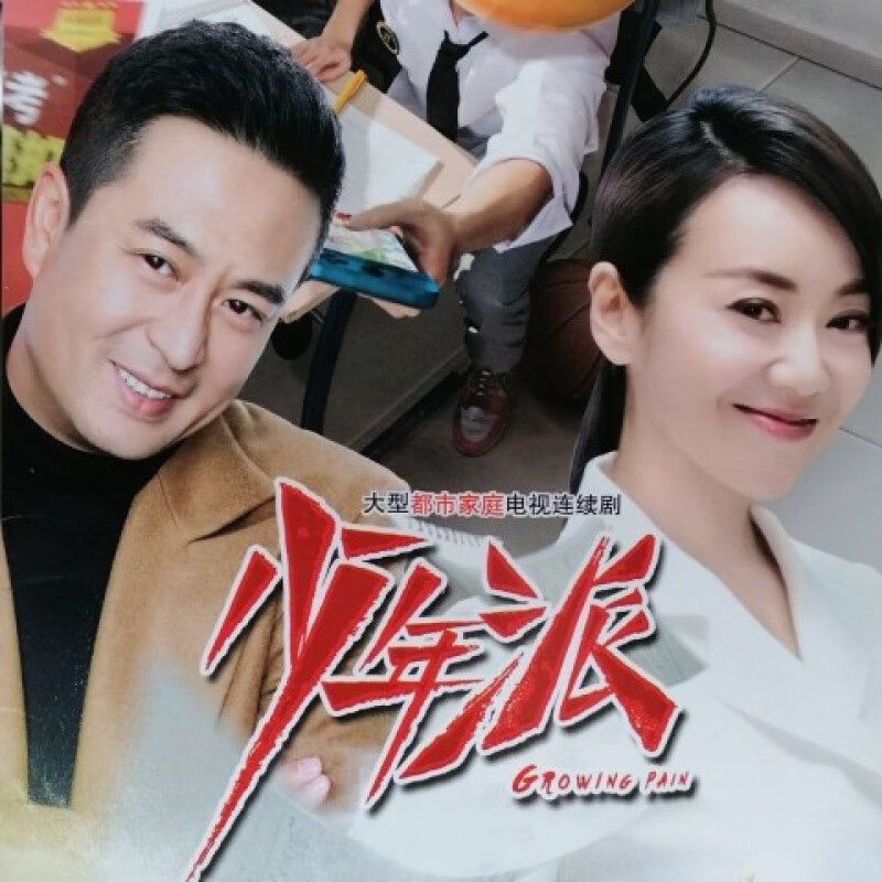 erilles都市家庭励志喜剧电视剧【少年派】dvd碟片光盘全集张嘉译闫妮