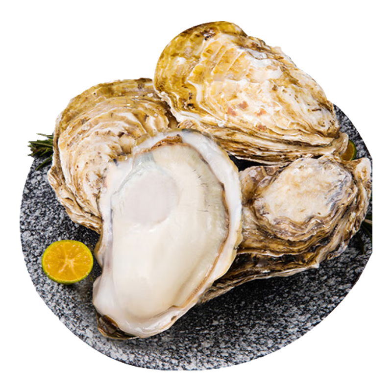 ɽĵ ʻɽ2XL ز 1.5kg 10-15ֻ 2XL3װʣ 31.11Ԫ