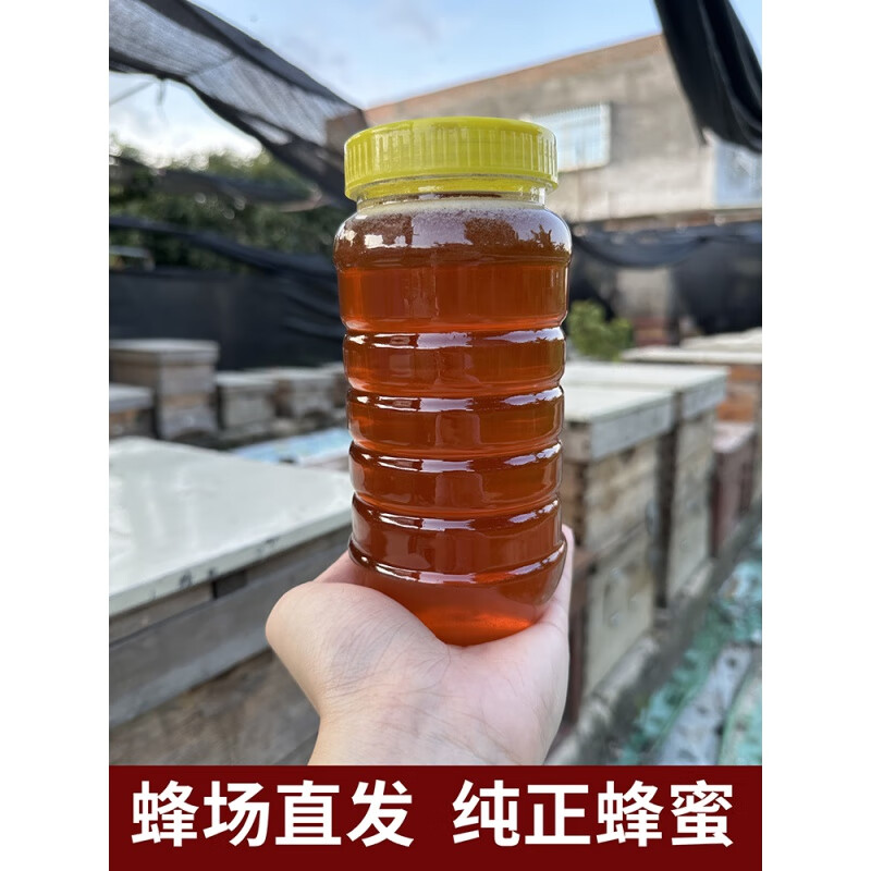 蜂蜜纯正天然农家自产正宗500g荔枝蜜龙眼蜜无添加礼盒 龙眼蜜500g