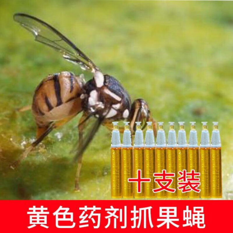 盛夏时光果蝇器果园菜地瓜果实蝇针蜂瓜蝇引诱剂捕抓器杀虫剂诱蜂神器