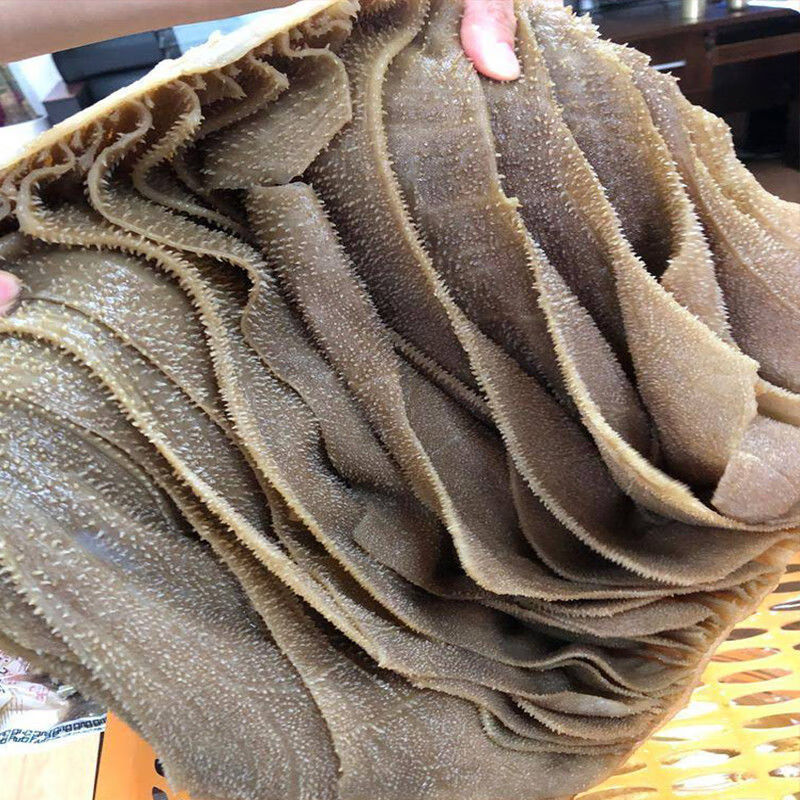 大叶片底板毛肚牛百叶火锅食材新鲜批发黑毛肚片牛毛肚鲜毛肚牛杂