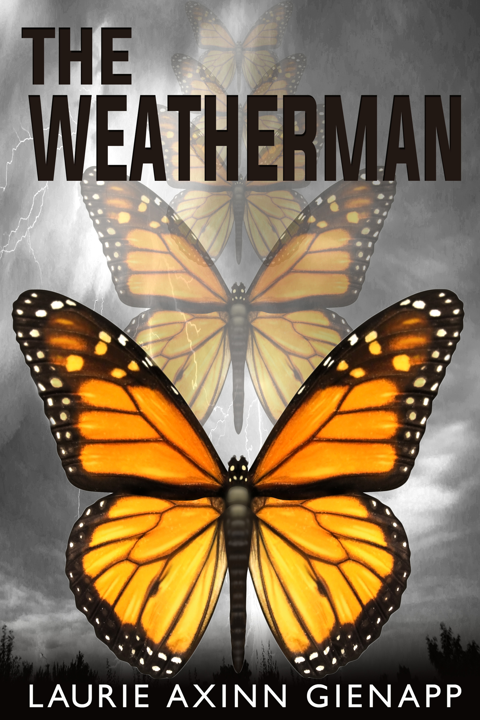 the weatherman