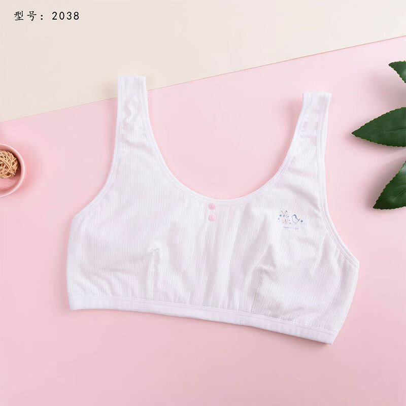 发育期少女内衣纯色纯棉可爱学生无棉杯小背心 白色 34=75ab(m75-90斤