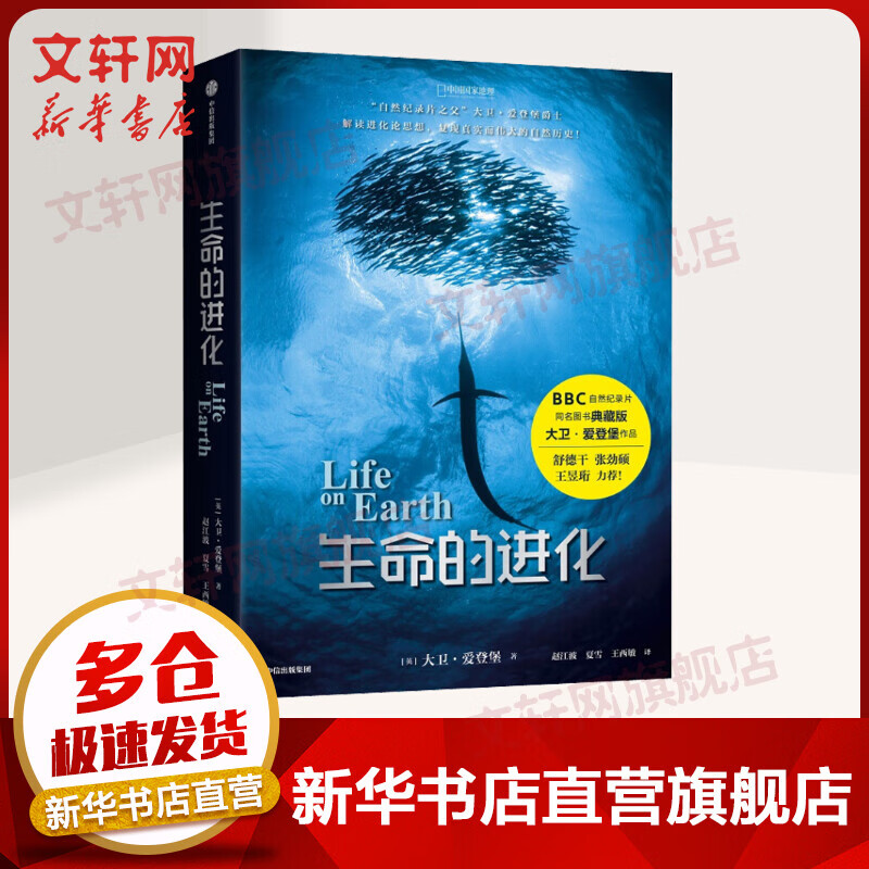 生命的进化