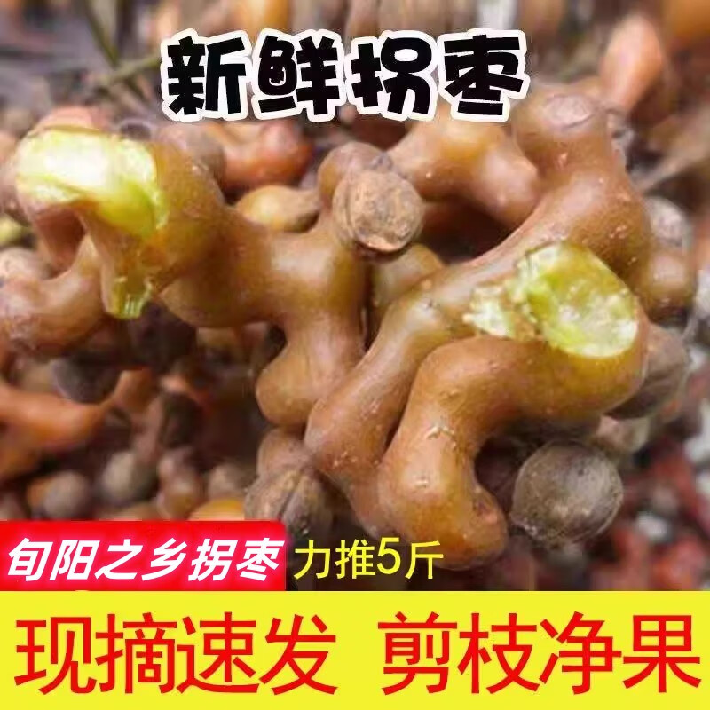 京东京东秒杀 2023-10-26 - 第12张  | 最新购物优惠券
