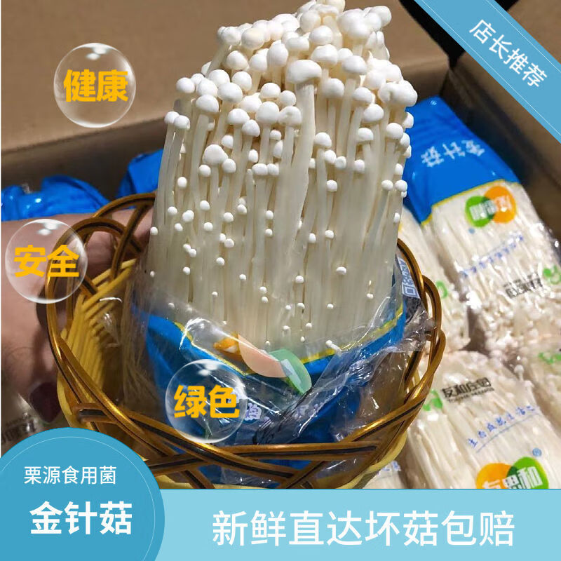 姬美食尚 新鲜金针菇蘑菇火锅涮菜新鲜蔬菜菌菇金针菇食用菌 三袋