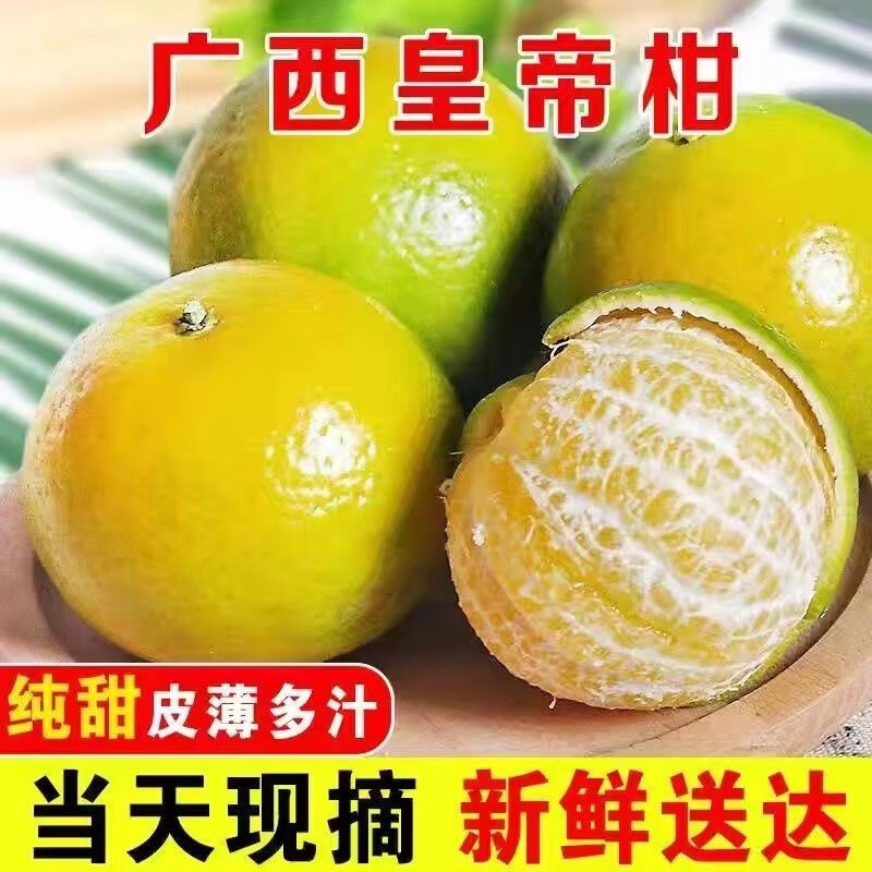 果迎鲜皇帝柑 广西皇帝柑 新鲜水果 酸橘子 45-55mm 净果4.5斤