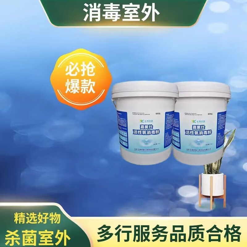 嘉氯仕单过硫酸氢钾复合盐消毒粉医院诊所污水专用活性氧消毒粉高效便捷 10kg/箱