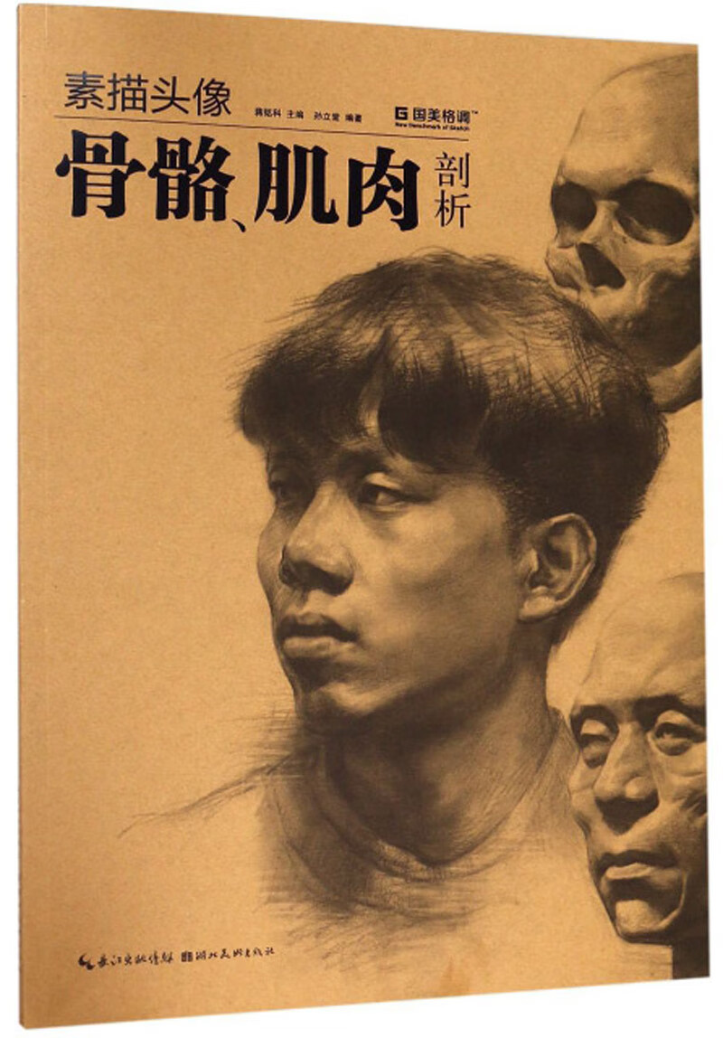 素描头像骨骼,肌肉剖析/国美格调