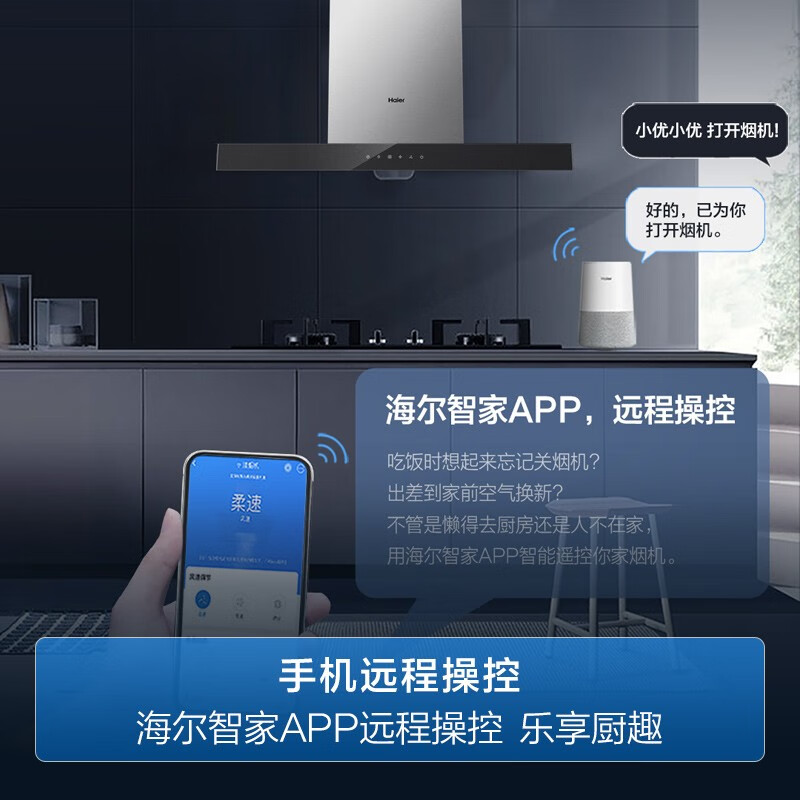 海尔（Haier）抽油烟机 欧式家用吸油烟机 20立方大吸力 热熔自清洁智能触控吸烟机排烟机抽烟机E900T6R(J)