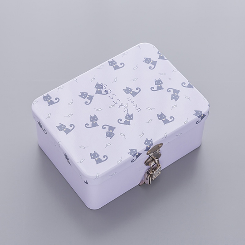 创意马口铁盒子带锁收纳盒 桌面收纳整理储物盒 小箱子化妆品盒y 喵酱