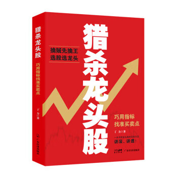 猎杀龙头股 丁力 9787545482737正版