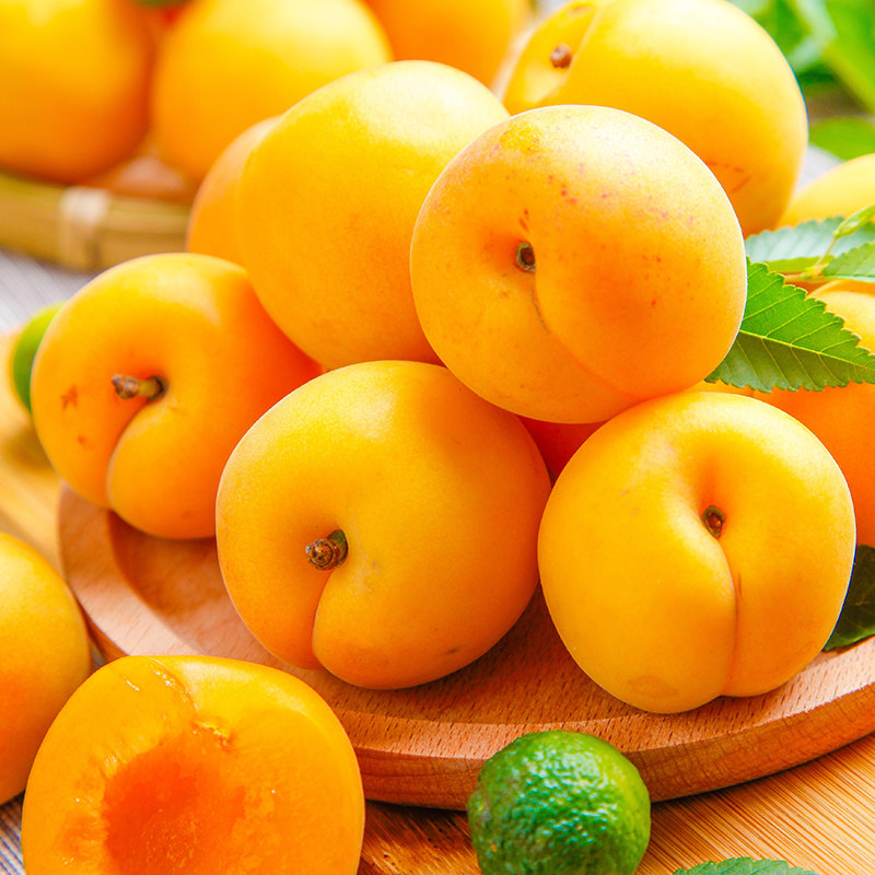 六尚 大黄杏新鲜水果应当季 5斤