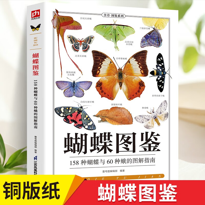 蝴蝶图鉴蝴蝶家族生态图解 精美蝴蝶图片生命科学 蝴蝶的分类生物