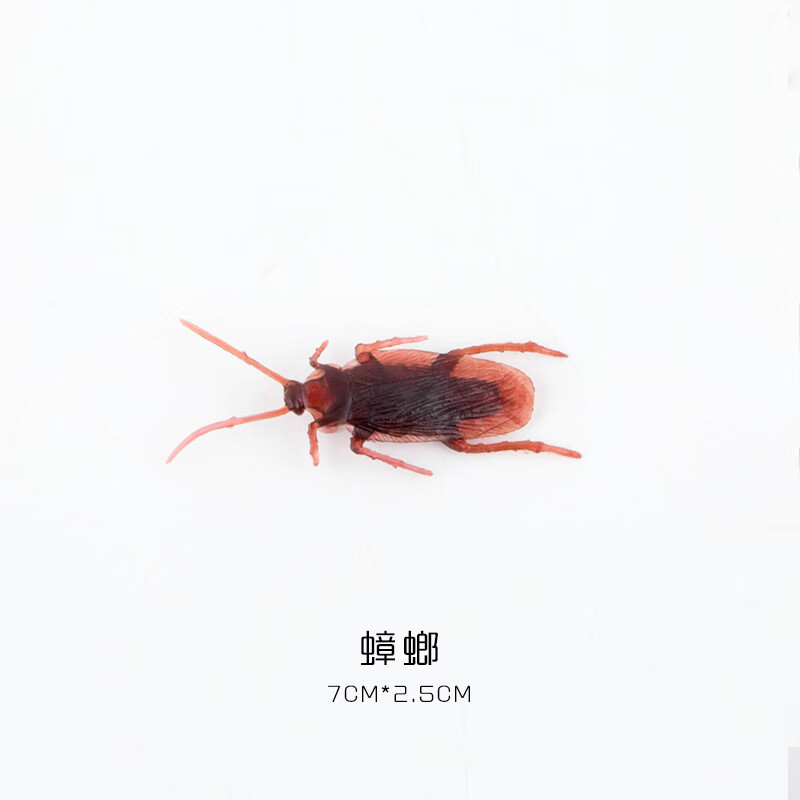 妙普乐仿真吓人虫子套装整蛊神器恶搞仿真小虫子玩具吓人假虫子恶作剧