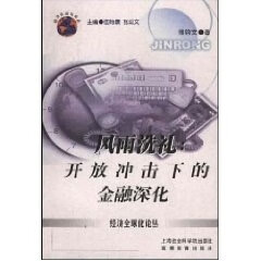 风雨洗礼:开放冲击下的金融深化经济全球化论丛【正版好书,下单速发】