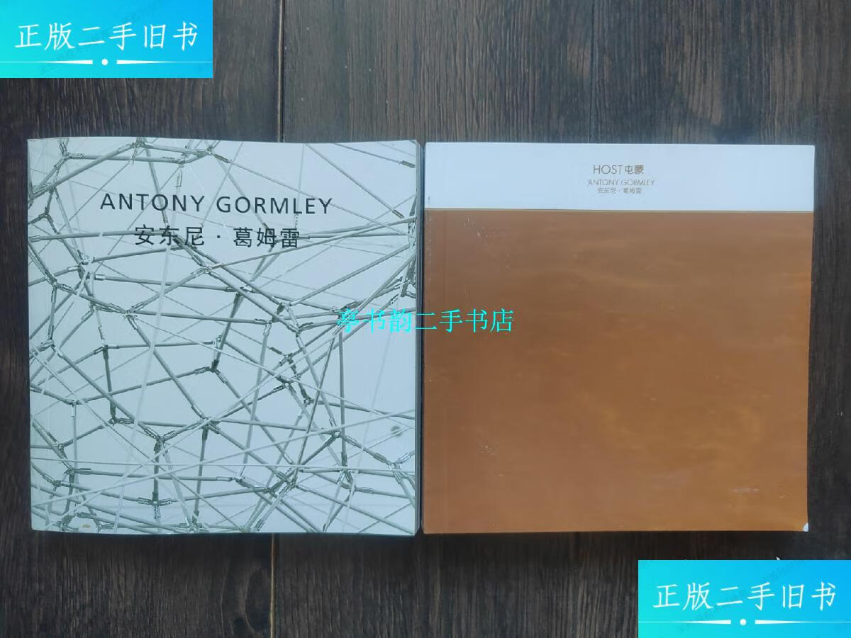葛姆雷(北京常青画廊)两册合售 /安东尼葛姆雷 安东尼葛