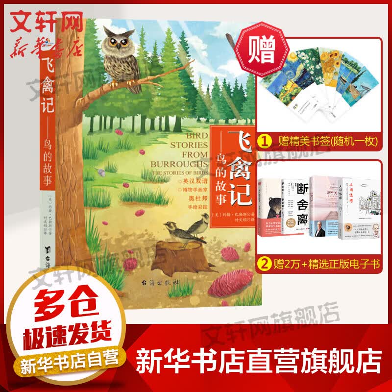 飞禽记——鸟的故事