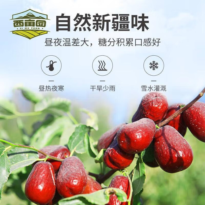 西亩园（XIMUYUAN）和田骏枣1000g 新疆特产 红枣大枣 肉厚煲汤泡茶 孕妇零食