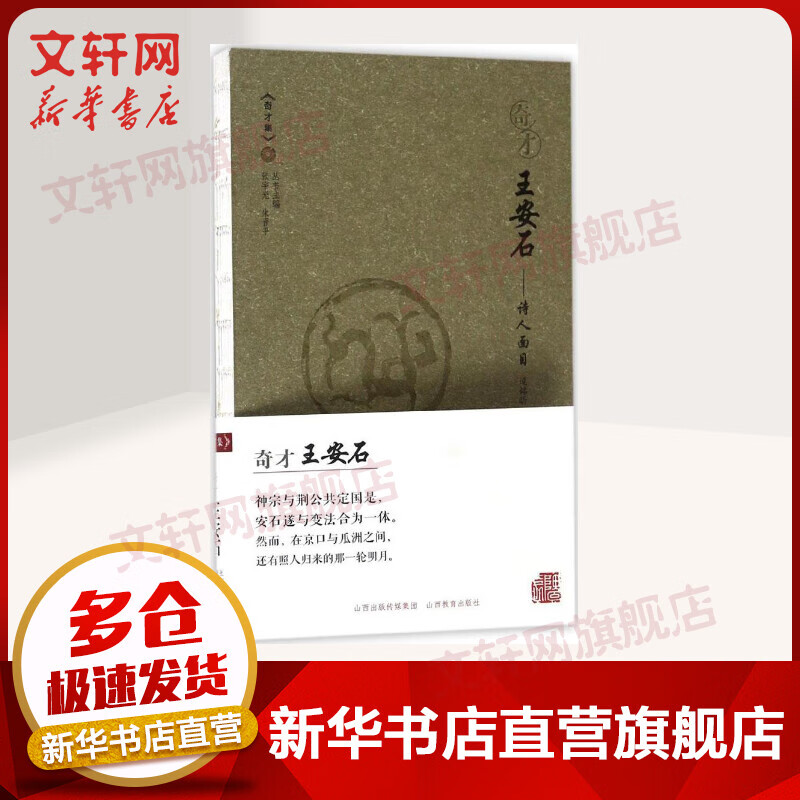 奇才王安石