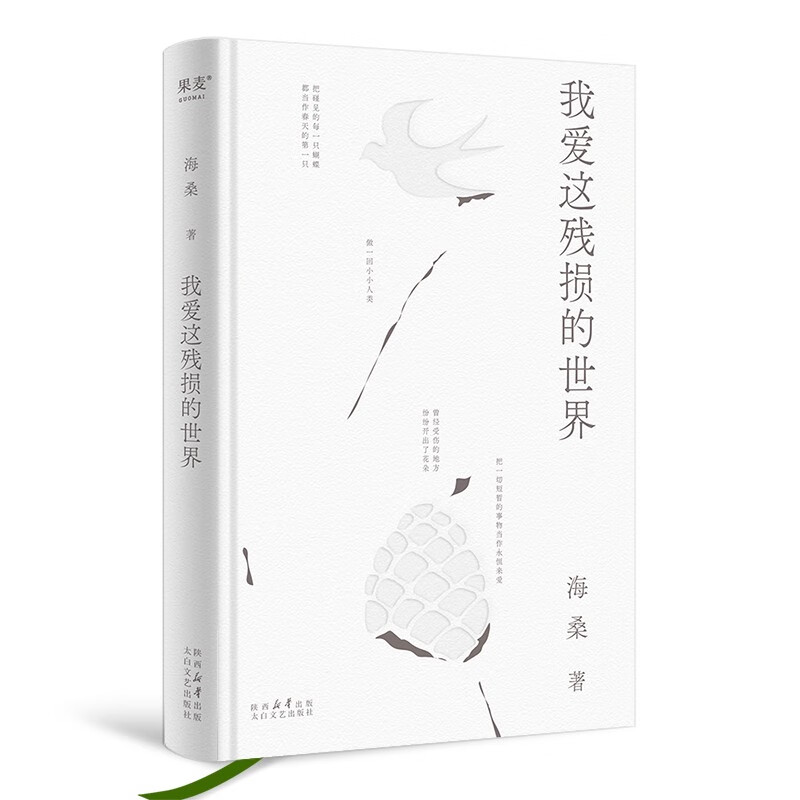 【官方直营】我爱这残损的世界 海桑全新诗集 小嘉推荐  诗歌 我是你流浪过的一个地方作者 用心描述生活细节里的真美 果麦出品   文学 阅读狂欢节