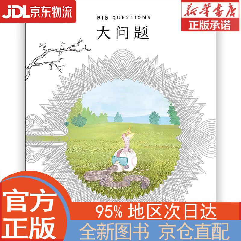【全新正版畅销书籍】大问题 [美]安德斯.尼尔森 北京联合出版公司