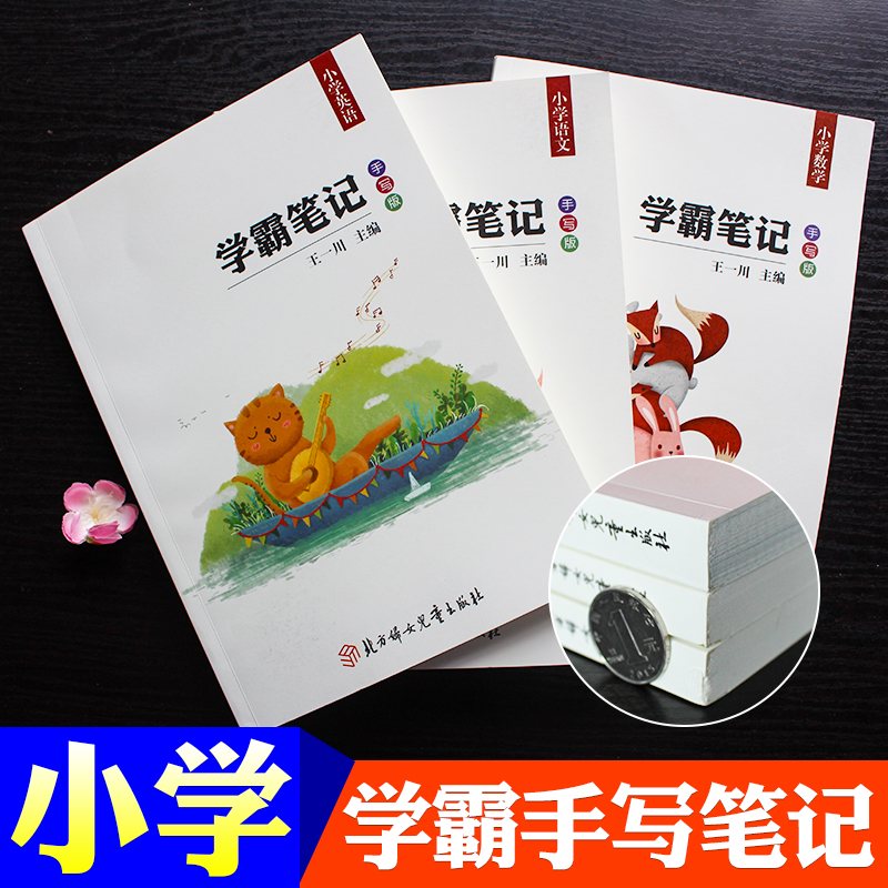 青衫拾光 2020王一川学霸笔记小学全套状元手写笔记小学语文数学英语