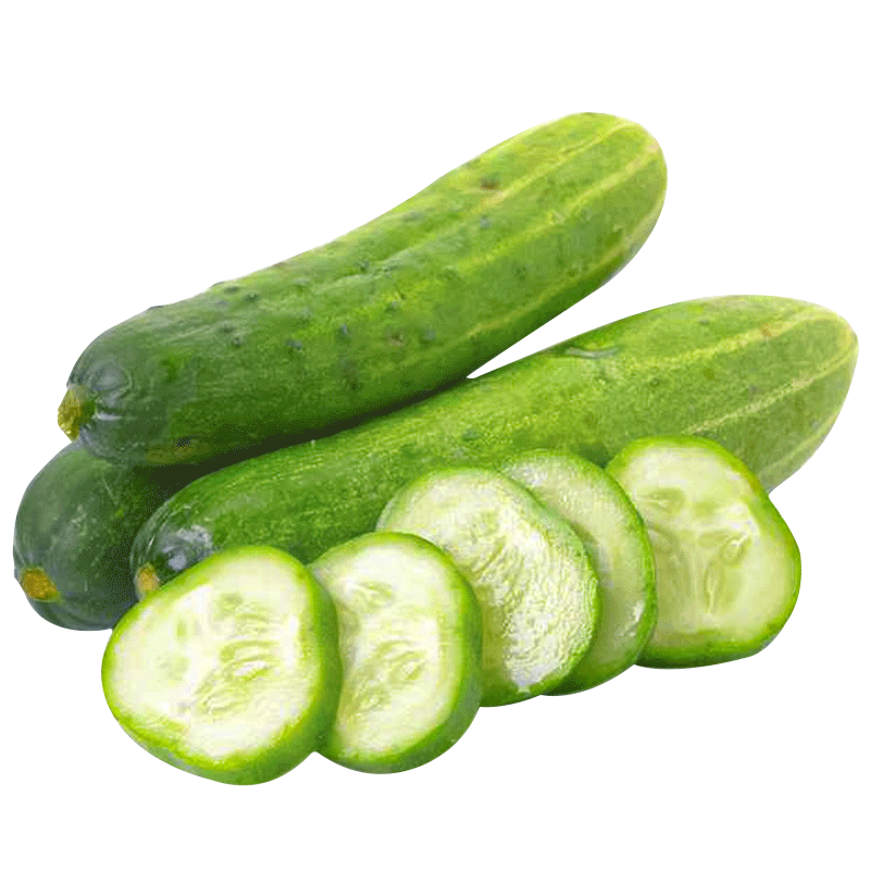 壽禾 旱黃瓜種子強(qiáng)雌籽種各種水果青瓜春季四季蔬菜壽光種籽  濰豐冰翡翠2號(hào)旱黃瓜種子 60粒