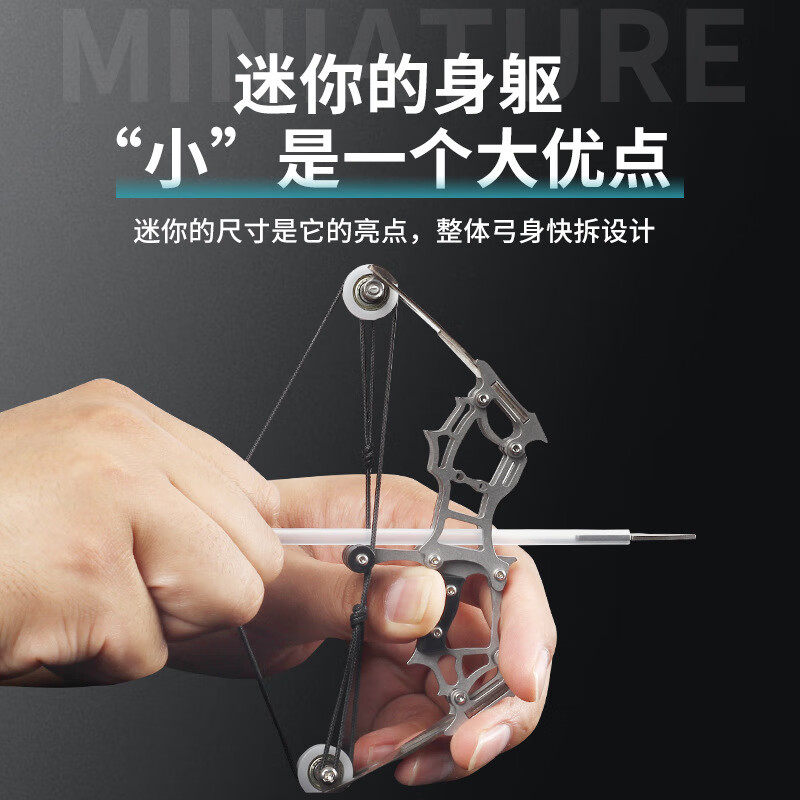 西梨妹迷你复合滑轮弓 户外室击用小型不锈钢弓身解压玩具金属小弓 弓+4支箭