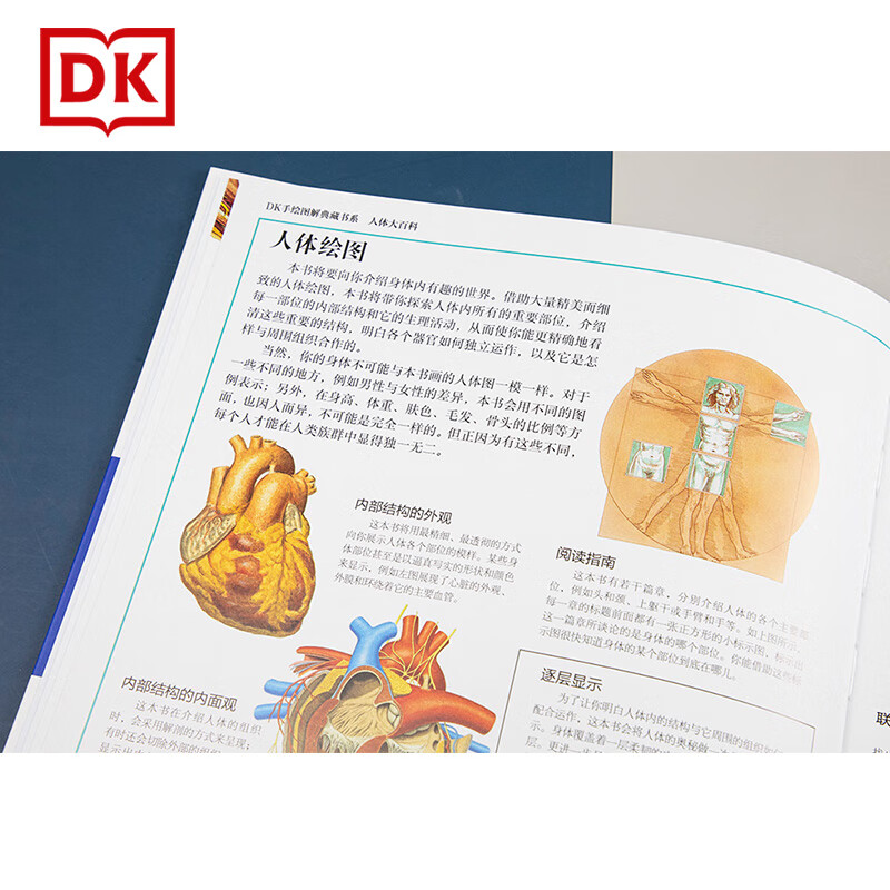 人体大百科(精)/DK手绘图解典藏书系详情图