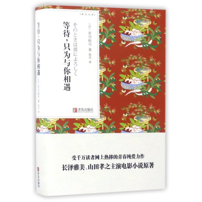 等待,只为与你相遇 市川拓司 张兴译 青