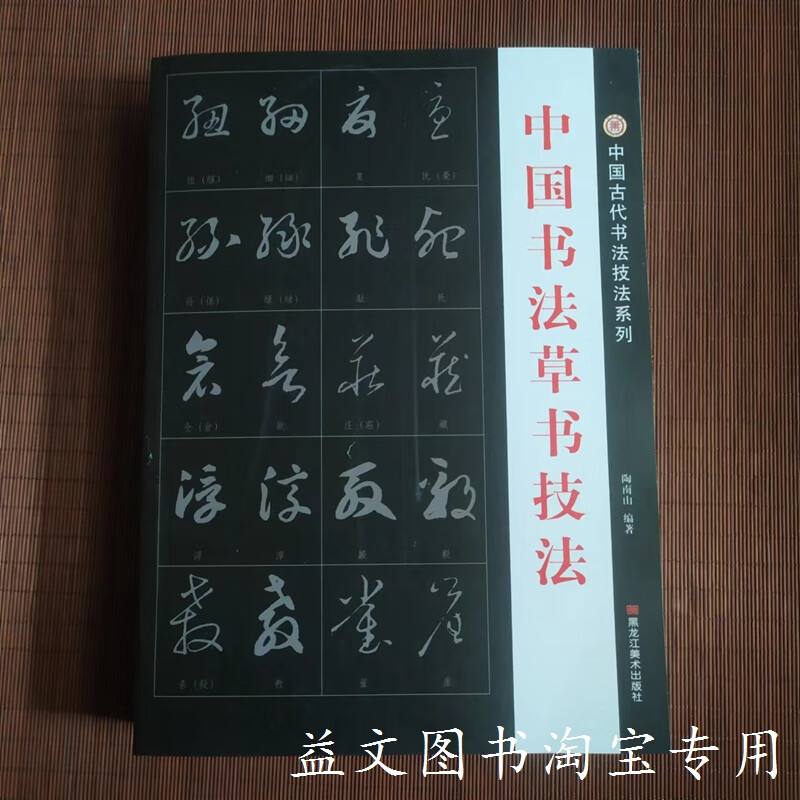 中国书法草书技法练字帖成年草书字帖练字初学者行草毛笔字王羲之