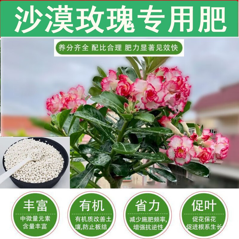 沙漠玫瑰专用肥有机肥料家用盆栽绿植用植物复合养花缓释花卉花肥