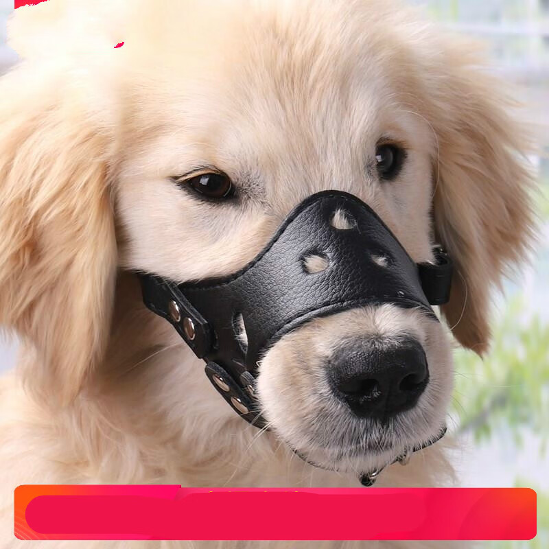 尾巴日记(taildiary)拉布拉多嘴套拉布拉多可调节大型犬止吠器咬人嘴