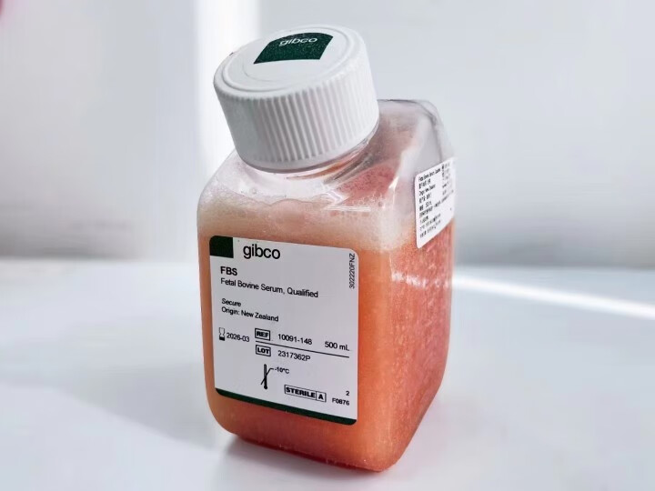 gibco胎牛血清10091-148新西兰血源10091148500ml