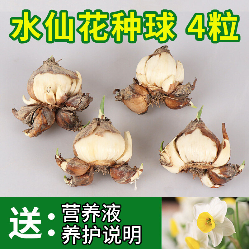 怎么查看京东种球商品历史价格|种球价格走势图