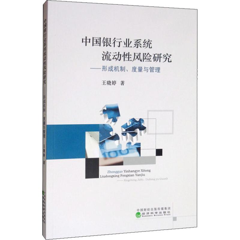 中国银行业系统流动性风险研究——形成机制、度量与管理