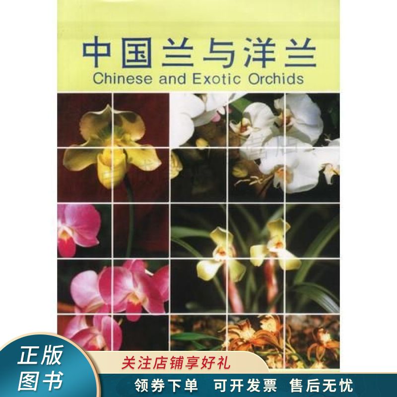 中国兰与洋兰 卢思聪