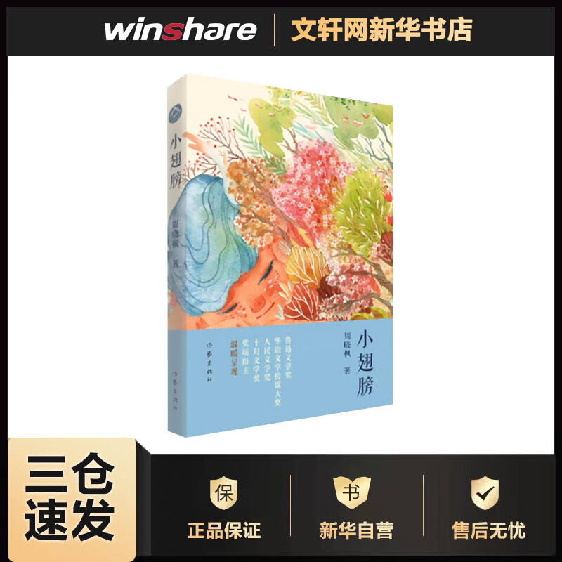 小翅膀 2018中国好书