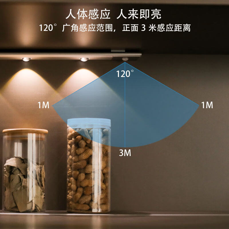 智能人体感应猫眼灯全自动家用充电橱柜玄关鞋柜酒柜LED灯带 黑色20CM【2灯珠】人体感应