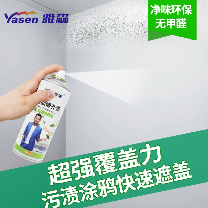 雅森墙面修补膏防水补墙膏白色腻子膏粉净味补墙漆免漆墙体钉眼裂缝