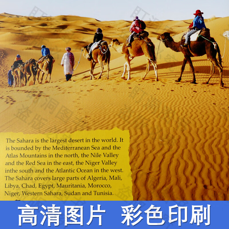 【可点读进口原版正品】儿童科普读物 幼儿英语启蒙绘本 100FACTS 100事实系列  儿童认知百科 英语故事绘本  英文原版 科普百科读物地球简史 动物大百科书籍 100FACTS全套10册