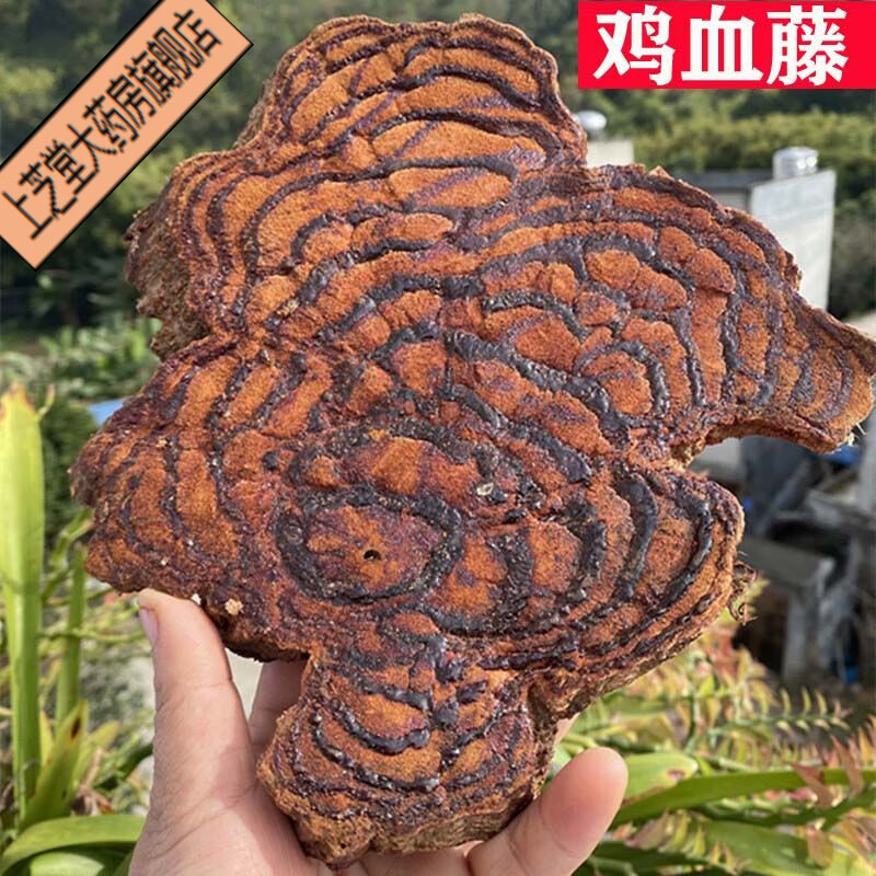 正宗鸡血藤老藤500克广西野外生鸡血滕原材鸡血屯原材料 鸡血屯原材料