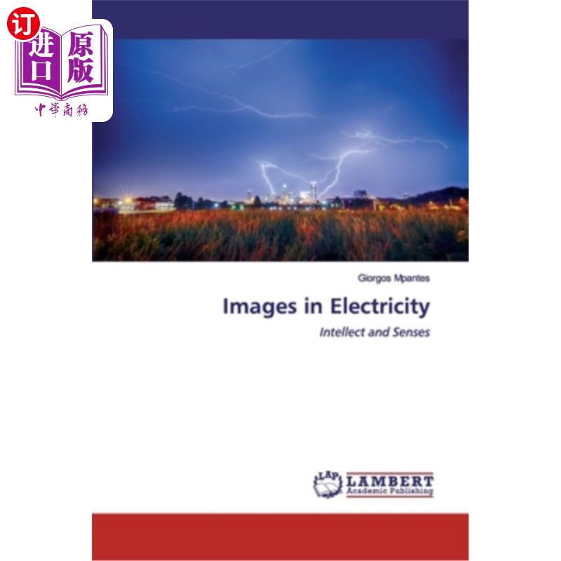 海外直订images in electricity 电学中的图像