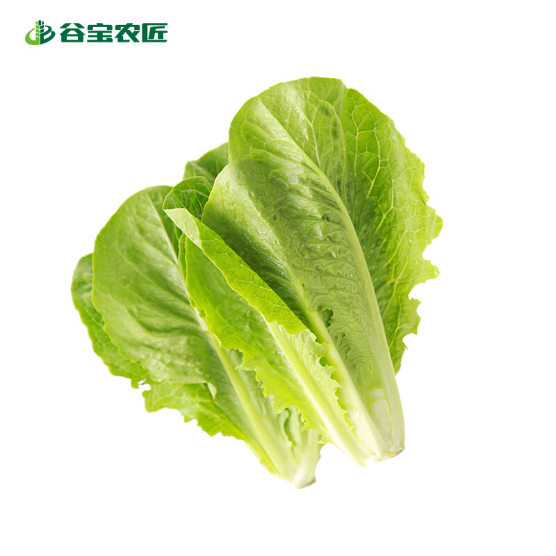 谷宝农匠·生态黄芽白秧子 杭白菜 小黄芽白新鲜蔬菜 300g