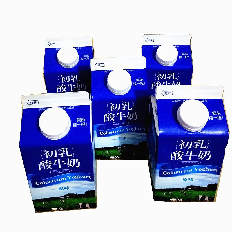 阳光初乳酸牛奶 阳光原味初乳酸牛奶 460ml*一盒大盒早餐奶 原味 初乳
