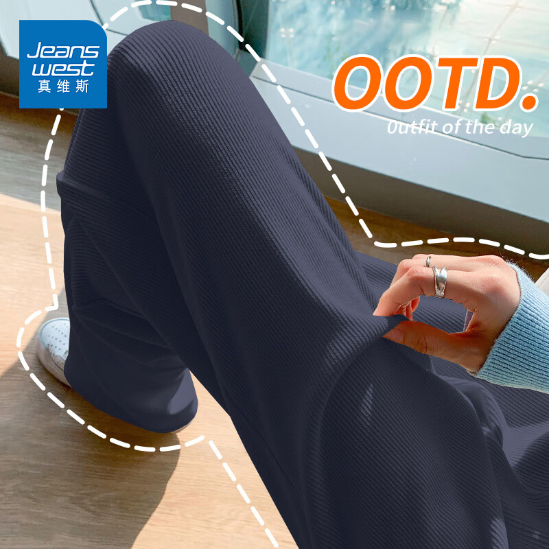 真维斯（Jeanswest）雪尼尔阔腿裤女春秋季2026新款垂感女士直筒休闲加绒保暖长裤女装 灰蓝 纯色 L