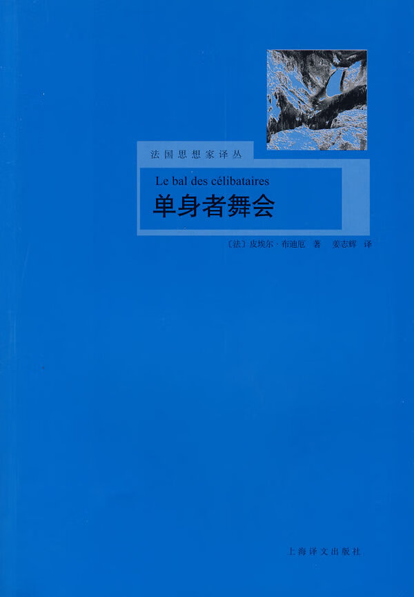 单身者舞会【放心选购】