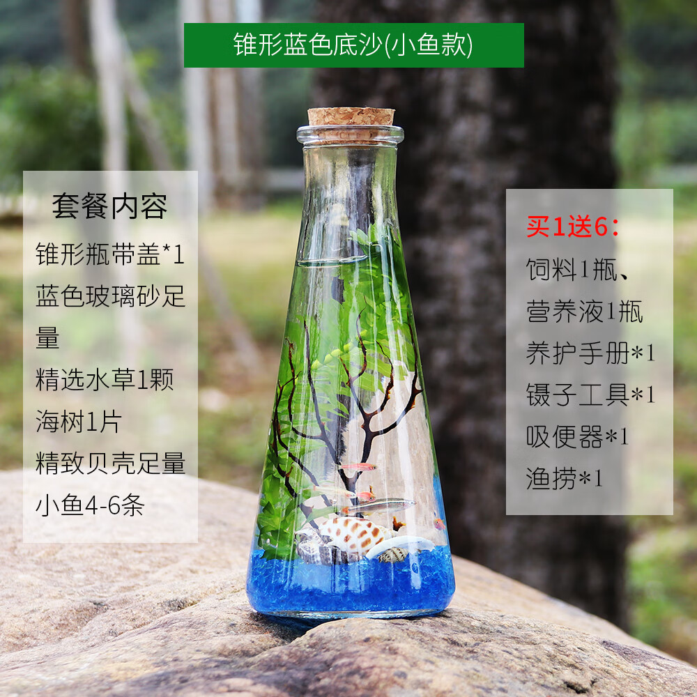 斗活体生态瓶活体族免打理斗缸桌面迷你微景观造景 锥形蓝色底沙(小鱼