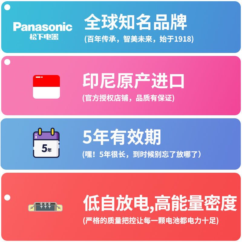 松下比亚迪方程豹5钥匙电池豹5专用豹五豹8豹3汽车遥控器锁匙电磁子 方程豹专用2粒
